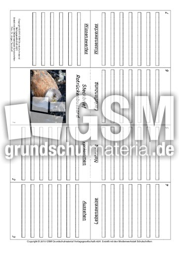 Faltbuch-Rotrückenbussard.pdf